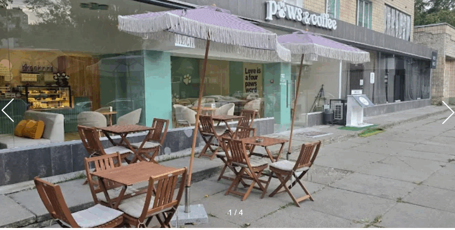 Paws&coffee Мокра 5