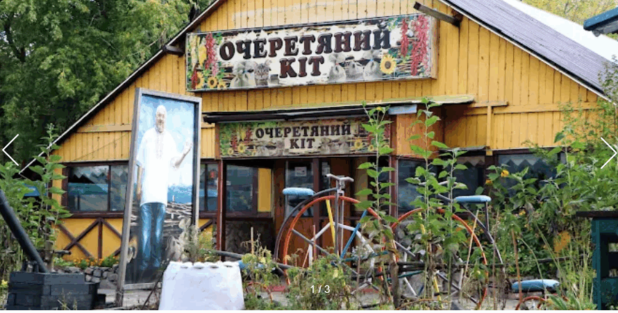 Очеретяний кіт Венеціанський острів Передмістна слобідка